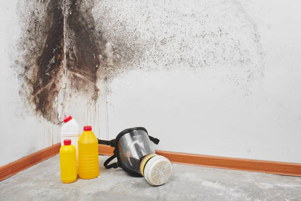 Best Toxic Mold Removal  in Mannford, OK