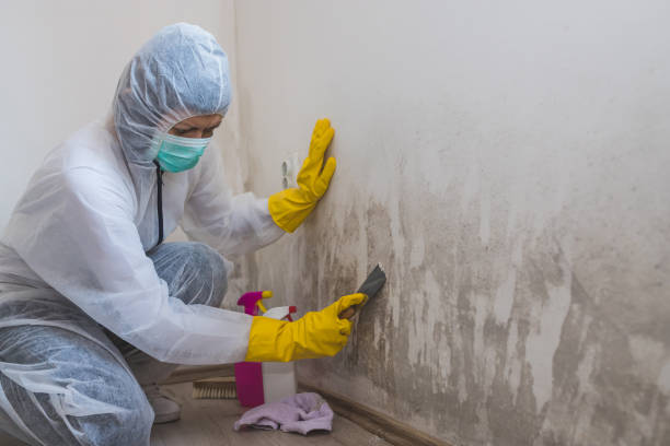 Best Certified Mold Removal  in Mannford, OK