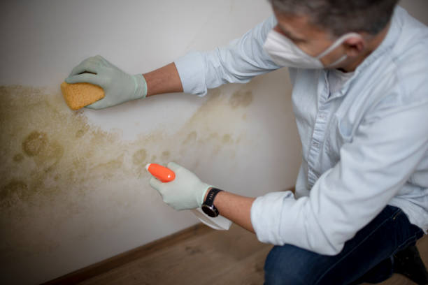 Best Crawl Space Mold Removal  in Mannford, OK