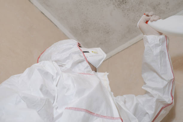 Best Crawl Space Mold Removal  in Mannford, OK