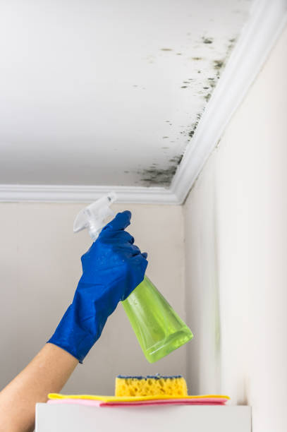 Professional Mold Removal in Mannford, OK